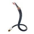 Digital coax-kabel RCA 75 ohm 212 - S25 - Inakustik